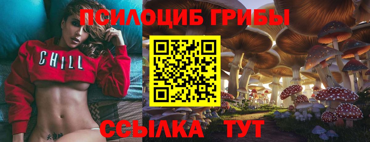 Чусовой  Псилоцибиновые грибы мицелий  Псилоцибиновые грибы ЛСД  Вход с VPN 